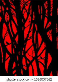 songbirds in a dense forest at sunset