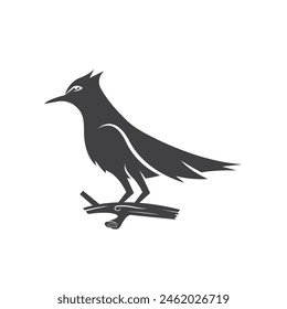 sooty headed Bulbul bird icon vector illustration concept design template web