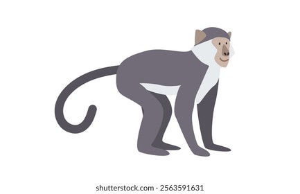 Sooty mangabey cartoon clipart. Mangabey vector illustration in flat style. Old World monkey. Hand-drawn wild animal concept