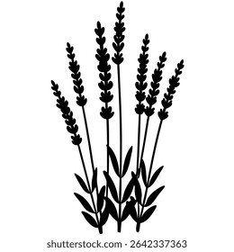 A sophisticated black and white vector illustration showcases a delicate lavender plant in a minimalist style.