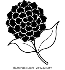 Uma sofisticada ilustração vetorial preto e branco mostra uma elegante flor de hortênsia com folhas detalhadas.