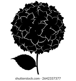 A sophisticated black and white vector illustration showcases an elegant hydrangea blossom.