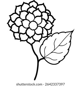A sophisticated black and white vector illustration showcases a blooming dahlia flower with accompanying leaves, rendered in an elegant outline style.