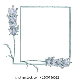 Sophisticated lavender flowers vintage style square frame design. Hand drawn vector illustration on white background. Great for cards, stationery, labels for wellbeing, beauty health products