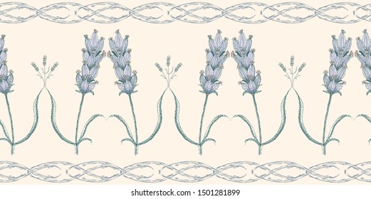 Sophisticated lavender flowers vintage style border. Hand drawn seamless vector pattern on cream background. Great for health, cosmetic packaging, fabric trim, edging, fabric, wallpaper, stationery