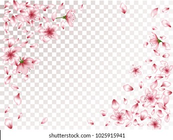 Sophisticated Peach Or Chinese Cherry Blossom Petals Blowing Flying, Flower Elements Falling Vector Illustration. Isolated Petals And Pink Flower Vector Elements Flying Confetti Corners Background.