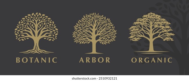 Sophisticated set of three tree vector logos with botanical themes, perfect for nature-inspired branding and organic businesses.