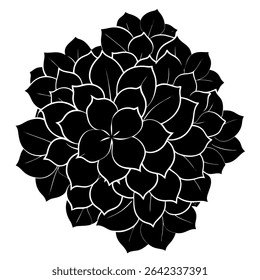 Sophisticated and versatile, this elegant black and white floral illustration offers a timeless aesthetic for various design projects. The monochrome vector graphic features delicate flowers, leaves
