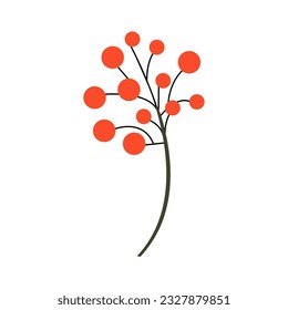 Sorbus branch with mature ash berries. Decorative botanical element isolated on white.