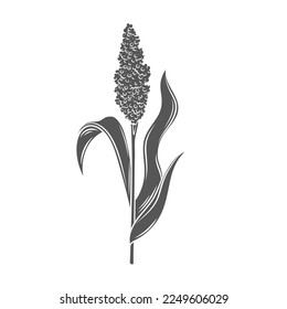 Planta de cultivo de cereales de sorgo, ilustración vectorial de icono de glifo. Grano de silueta negra con semillas y hojas en espigas de tallo, pasto de sorgo agrícola de campo, sorgo cosecha orgánica