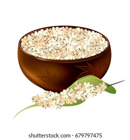 Sorghum (gaoliang, durra, milo, hegari, jowari, Sorghum bicolor). Hand drawn realistic vector illustration of white sorghum grains in ceramic bowl with panicle isolated on white background.