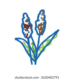 sorghum plant food doodle icon sketch vector. sorghum plant food sign. isolated symbol illustration
