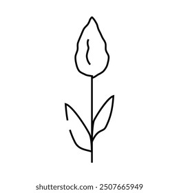 sorghum plant food line icon vector. sorghum plant food sign. isolated contour symbol black illustration