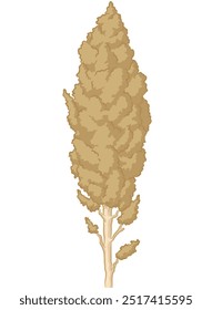 Sorghum Stalk Crop Ear Sheaf Cartoon