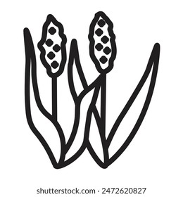 Diseño de iconos de línea de Vector de sorgo