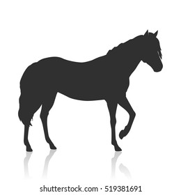 Sorrel horse black logo vector. Flat design. Domestic animal. Country inhabitants concept. For farming, animal husbandry, horse sport illustrating. Agricultural species. Isolated on white