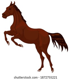 Sorrel horse reared before jumping. Prancing stallion pricked up its ears and prepared to overcome an obstacle. Vector design element for equestrian goods.