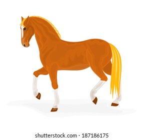 Sorrel horse vector illustration