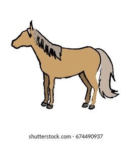 Sorrel horse with white legs vector. Flat design. Domestic animal. Country inhabitants concept. For farming, animal husbandry, horse sport illustrating. Agricultural species. Isolated on white