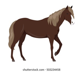 Sorrel horse with white muzzle vector. Flat design. Domestic animal. Country inhabitants concept. For farming, animal husbandry, horse sport illustrating. Agricultural species. Isolated on white