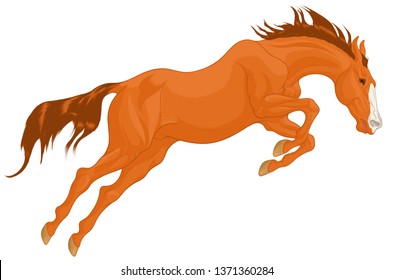 Sorrel stallion overcomes an obstacle in a powerful jump, craned its neck forward, laid his ears back. Illustration of a running steed with a blaze face marking. Vector clip art for show jumping club.