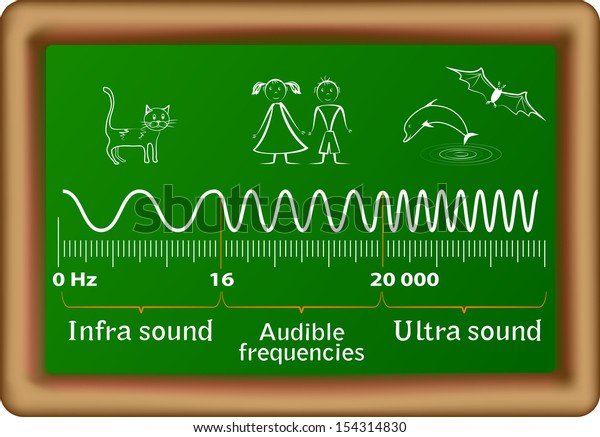 Sound Frequency Ranges Infrasound Audible Ultrasound Stock Vector