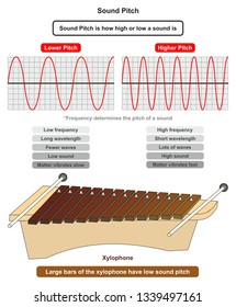 Sound Pitch infographic diagram showing comparison of high and low frequency sound waves also example of xylophone where large bars producing low sound pitch for physics science education