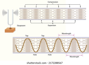 Sound propagates as density or pressure variations, Reflection of sound, tuning fork sound propagation