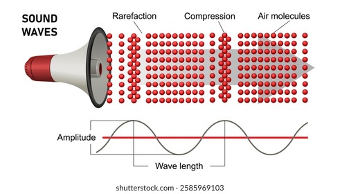 Sound wave. Longitude, compression, amplitude, wave form. Laws of propagation. Science education vector illustration