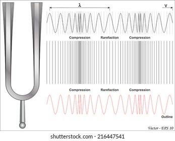 Sound Wave - Longitudinal Wave