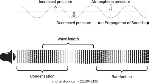 A Sound Wave In Vector Graphic Form. The Wavelength, Frequency, Time Period, And Speed Of A Sound Wave