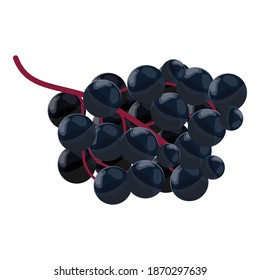 Sour elderberry icon. Cartoon of sour elderberry vector icon for web design isolated on white background
