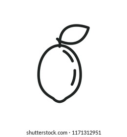 sour lime vector icon
