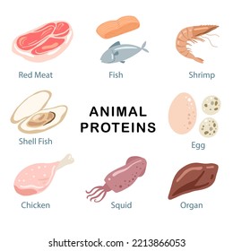 source of animal protein in food