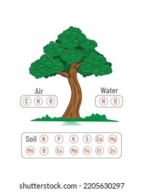 Source of plant nutrients. types of nutrients that come from soil, water and air