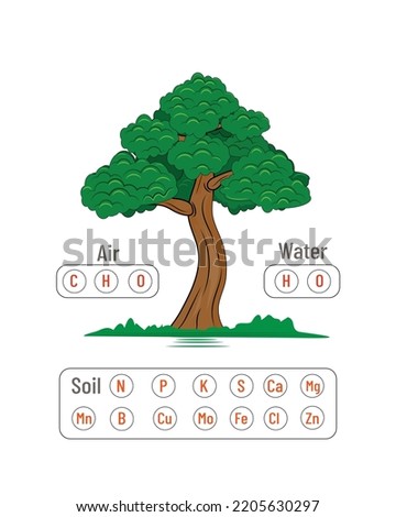 Source of plant nutrients. types of nutrients that come from soil, water and air