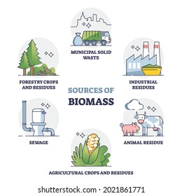 Sources of biomass energy as alternative power in outline collection diagram. Educational labeled set with recycled municipal solid waste, residues, sewage and forestry crops vector illustration.