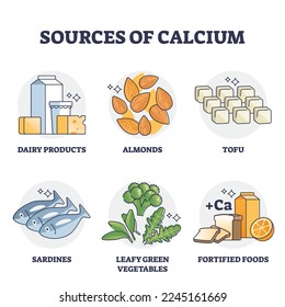 Fuentes de calcio y de productos alimenticios a nivel de Ca ricos naturales esquema de esquema. Lista educativa etiquetada con ingredientes para una buena ilustración vectorial de la alimentación. Leche, tofu y verduras para huesos fuertes.