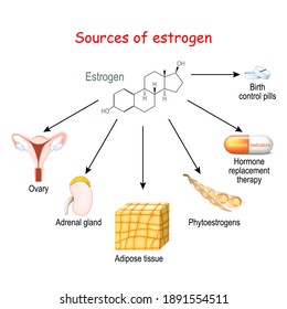 Sources Of Estrogen In Women. From Ovary, Adipose Tissue, And Adrenal Gland To Phytoestrogens, Contraceptive, And Hormone Pills. Vector Illustration