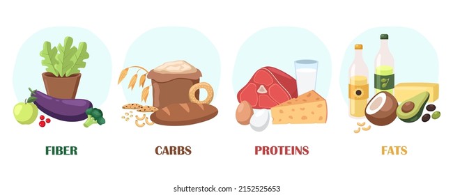 Sources of fiber, carbs, proteins, fats vector illustrations set. Different categories or groups of products or meals with vitamins or micronutrients on white background. Food, nutrition, diet concept