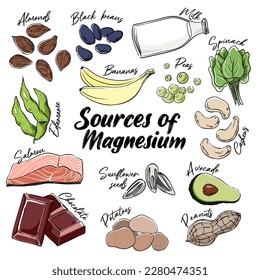 Sources of Magnesium vector illustration