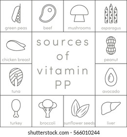 Sources of Niacin, vector outline food icons for infographic