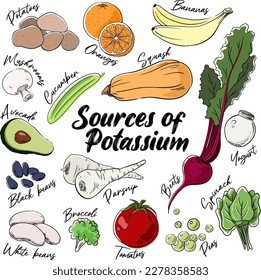 Sources of Potassium vector illustration