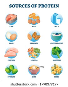 Sources of protein as healthy and high nutrient diet products collection. Essential meal ingredient group in labeled educational list. Meat, poultry, fish, eggs, and dairy as important amino acids set