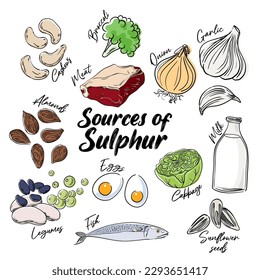 Sources of Sulphur vector illustration