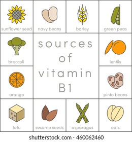 Sources of vitamin B1, vector icons of food for info-graphic