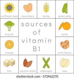 Sources of vitamin B1, vector icons of food for infographic