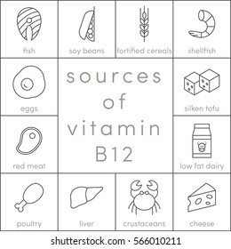 Sources Of Vitamin B12, Vector Outline Food Icons For Infographic