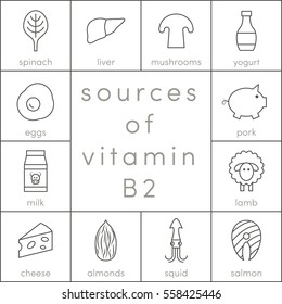 Sources of vitamin B2, vector outline food icons for infographic