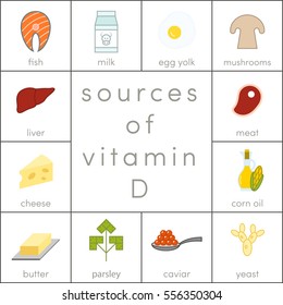 Sources of vitamin D, vector food icons for infographic